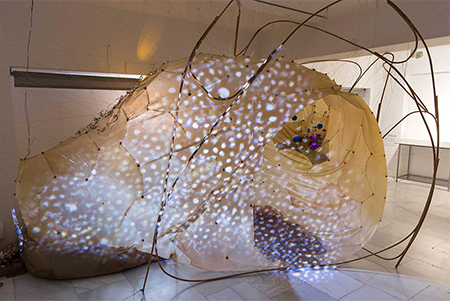 Maria Mallo Pavilion 1